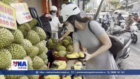 Sầu riêng vào mùa rẻ chưa từng có tại TP. HCM