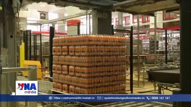 FAO kêu gọi lập tiêu chuẩn mới cho nhựa tái chế