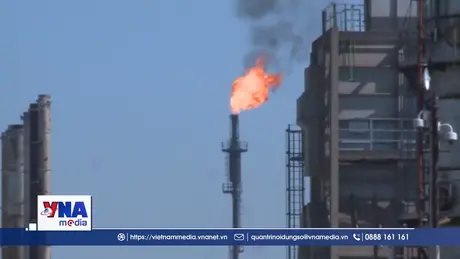 IEA cảnh báo về tốc độ sụt giảm dự trữ dầu thô toàn cầu