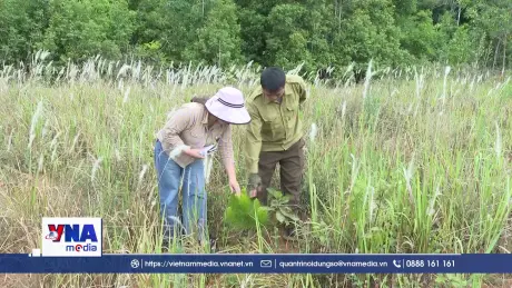 Nan giải bài toán quản lý đất lâm nghiệp tại Lâm Đồng