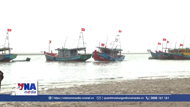 Ninh Bình tuân thủ các biện pháp bảo vệ nguồn lợi thủy sản