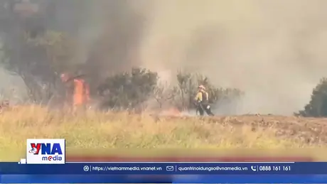 Mỹ: Hỏa hoạn nghiêm trọng tại California và sự cố tràn dầu tại Hawaii