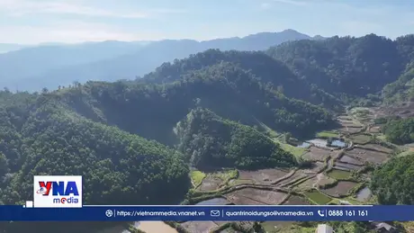 Những bước chân xanh trên ruộng vàng biên giới Huế