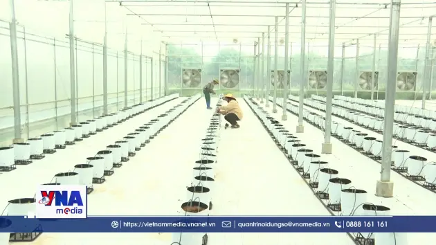 Ứng dụng KHCN trong sản xuất nông nghiệp tại Điện Biên