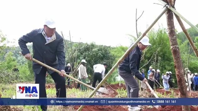 Lâm Đồng phấn đấu trồng gần 2.400 hecta rừng