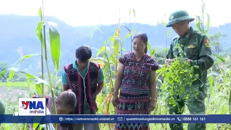 Bộ đội biên phòng Đà Nẵng vững vàng nơi biên cương, biển cả