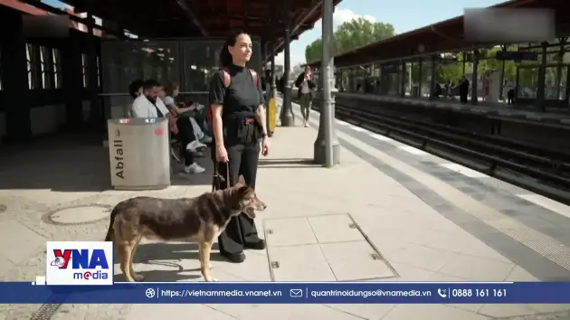 Nạn trộm cắp cáp gây gián đoạn hệ thống tàu điện tại Berlin