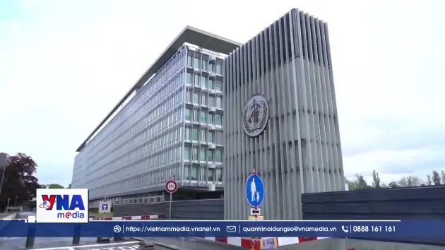 Nguy cơ bùng phát dịch Ebola trên toàn cầu ở mức thấp