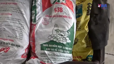An ninh 365 ngày 20/5: Trưởng khoa dược Bệnh viện Y học cổ truyền trung ương bị bắt vì buôn lậu hơn 50 tấn caffeine