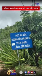 Lâm Đồng dừng lưu thông qua đèo Gia Bắc trên quốc lộ 28