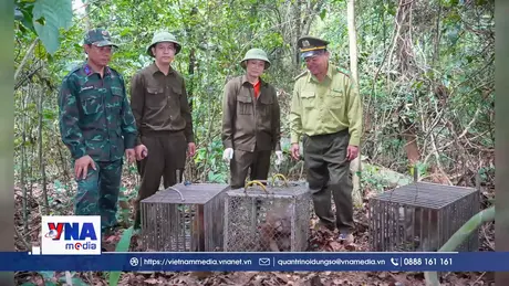 Quảng Trị: Tái thả 13 cá thể động vật hoang dã về môi trường tự nhiên