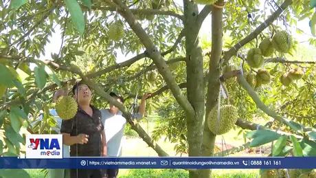 Vốn vay mở ra hướng thoát nghèo cho nông dân vùng biên Đồng Nai