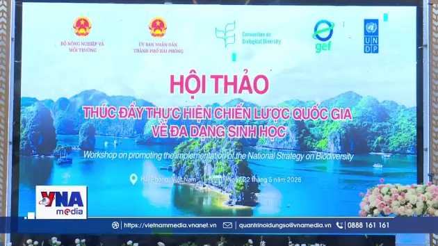 Hội thảo thúc đẩy thực hiện Chiến lược quốc gia về đa dạng sinh học