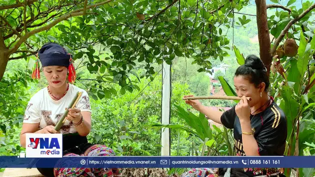 Giữ hồn tiếng sáo mũi của người Khơ Mú