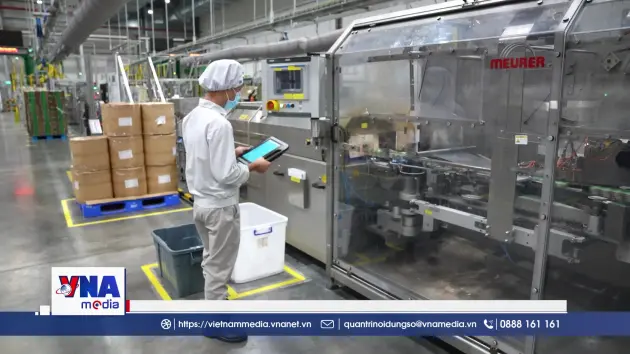 Thu hút đầu tư FDI chất lượng cao, bền vững