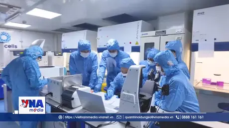 Công nghệ tế bào gốc: Cơ hội mới cho y học tái tạo