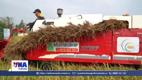 Tăng tốc mở rộng diện tích lúa giảm phát thải