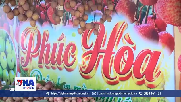 Chuỗi hoạt động quảng bá, xúc tiến tiêu thụ vải thiều sớm
