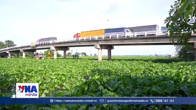 Cần giải pháp giải quyết ô nhiễm lặp lại trên sông Vàm Cỏ Đông