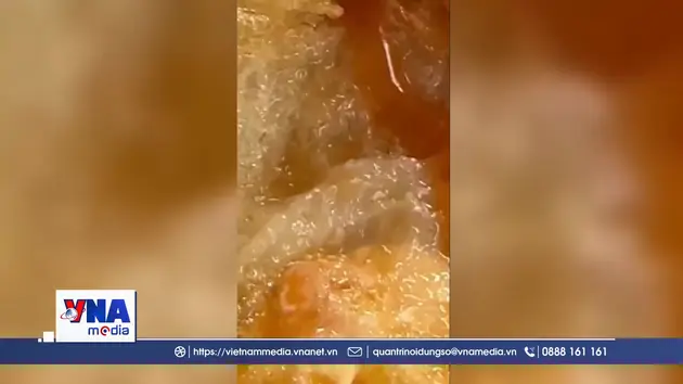 Xác minh thông tin hộp xôi nghi có dòi gây xôn xao dư luận tại Quảng Trị