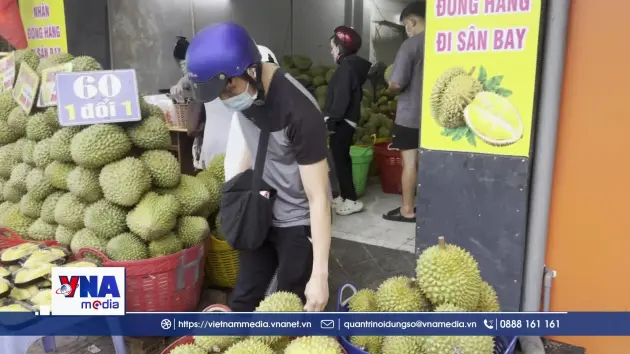 23.000 trái sầu riêng 