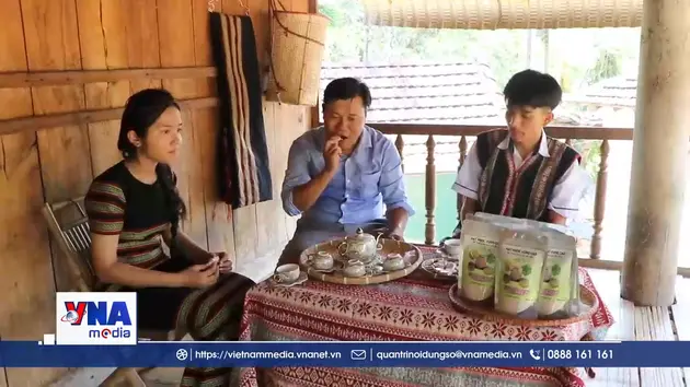 Quảng Ngãi: Học sinh vùng cao nâng tầm nông sản, bảo vệ môi trường
