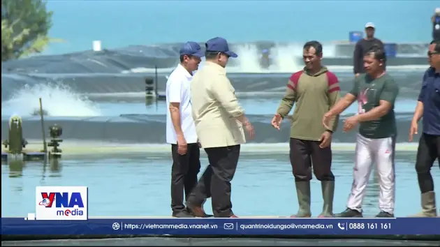 Indonesia thúc đẩy xuất khẩu tôm công nghệ cao