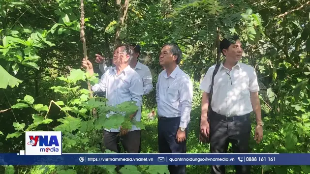 Vĩnh Long  đề xuất nhiều giải pháp bảo vệ vườn chim Hai Chìa