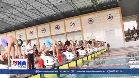 Khai mạc giải Bơi – Lặn vô địch các nhóm tuổi Quốc gia năm 2026