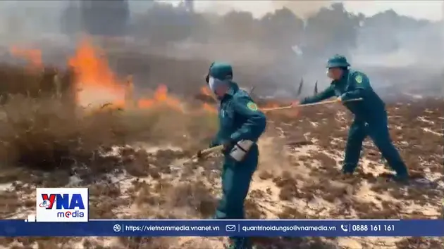 Quảng Trị: Kịp thời khống chế cháy rừng ven biển