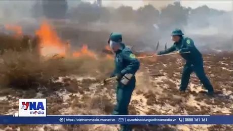 Quảng Trị: Kịp thời khống chế cháy rừng ven biển