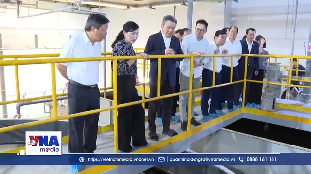 Khảo sát công tác bảo vệ môi trường tại Phú Thọ