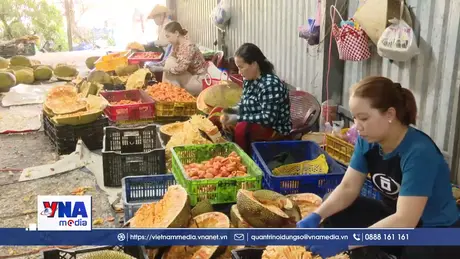 Giá mít giảm sâu, nhiều nhà vườn thua lỗ ở Đồng Tháp