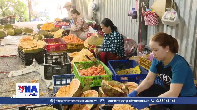 Giá mít giảm sâu, nhiều nhà vườn thua lỗ ở Đồng Tháp
