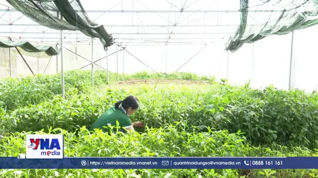 Nông nghiệp xanh hơn, phát thải thấp hơn