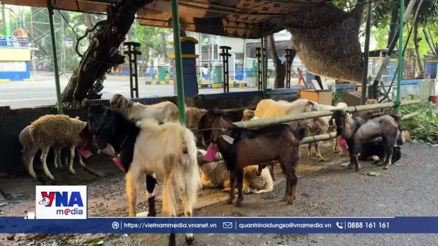 Idul Adha tại Indonesia – ngày lễ của lòng nhân ái và sẻ chia cộng đồng