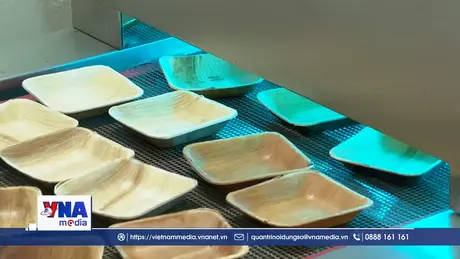 Những sản phẩm thân thiện với môi trường được làm từ chiếc mo cau