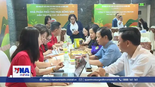 Mở lối cho nông sản Gia Lai thâm nhập hệ thống phân phối lớn