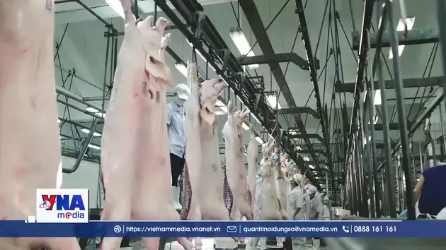 TP. Hồ Chí Minh thúc đẩy chuỗi thực phẩm an toàn