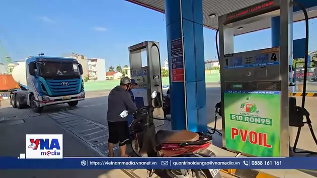 Hải Phòng sẵn sàng điều kiện đồng loạt kinh doanh xăng E10 từ 1/6