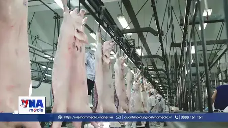 TP. Hồ Chí Minh thúc đẩy chuỗi thực phẩm an toàn