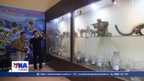 Trải nghiệm thế giới thu nhỏ tại Khu bảo tồn thiên nhiên Pù Huống (Nghệ An)