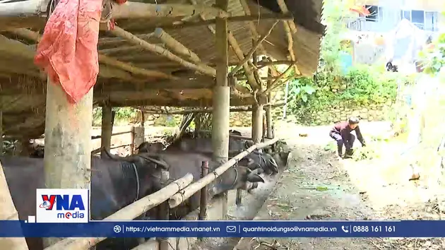 Hỗ trợ sinh kế để người dân vùng cao thoát nghèo