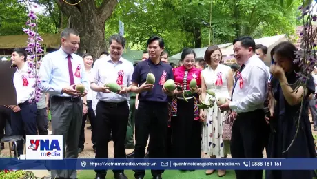 Khai mạc Ngày hội xoài Yên Châu năm 2026