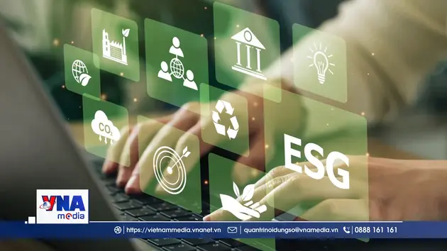 AI và chuyển đổi xanh quyết định khả năng “sinh tồn” của doanh nghiệp