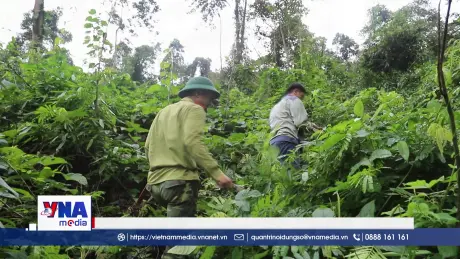Căng mình “gác lửa” bảo vệ rừng khu dự trữ sinh quyển Pù Huống