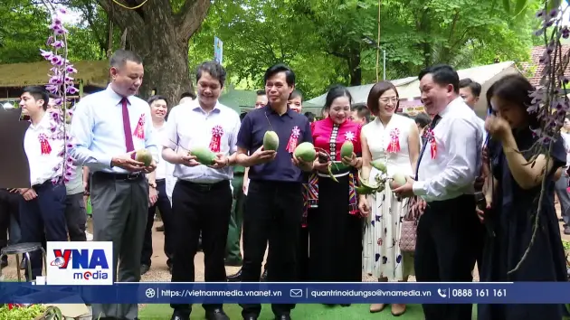 Khai mạc Ngày hội xoài Yên Châu năm 2026