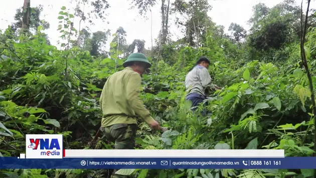 Căng mình “gác lửa” bảo vệ rừng khu dự trữ sinh quyển Pù Huống