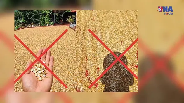 An ninh 365+ ngày 31/5: Đăng ảnh thóc phơi “nổ thành bỏng”, người vi phạm bị xử phạt 7,5 triệu đồng