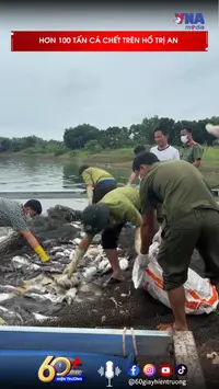 Hơn 100 tấn cá chết trên hồ Trị An